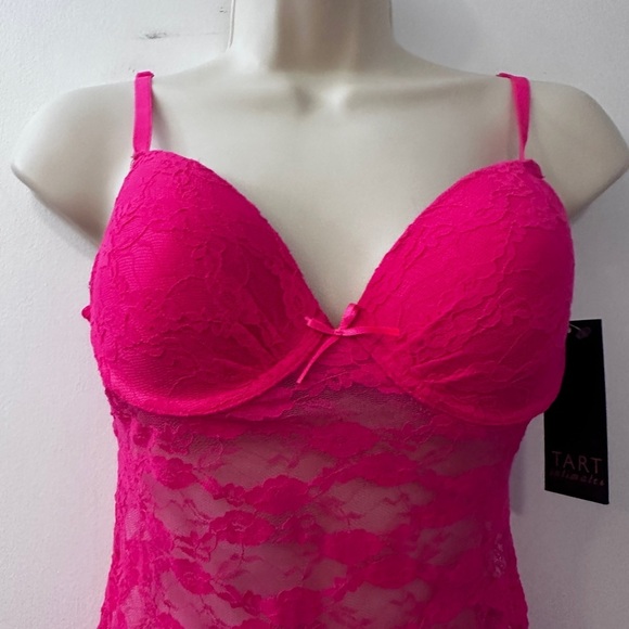 Tart Intimates Small Pink Lace Chemise Babydoll Lingerie Set NWT Sexy Sheer - Picture 4 of 10